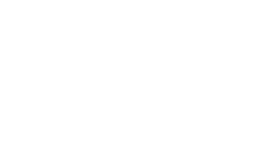 Dent, Hail & Detail
